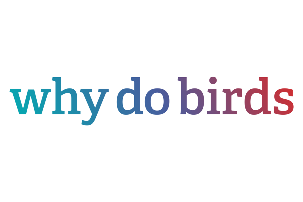 wdb_logo_1500_breite_Web